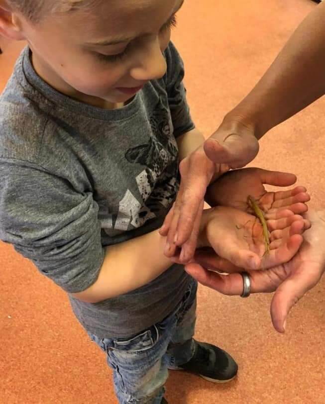 Kind houdt een salamander vast op de BSO