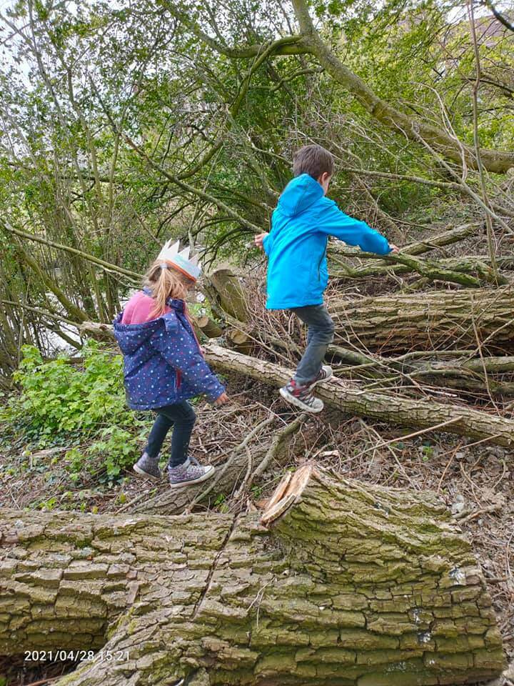 Kinderen klimmen op een boomstam